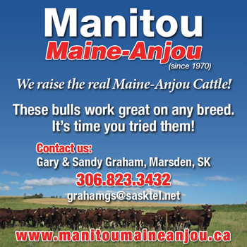 Manitou Maine Anjou
